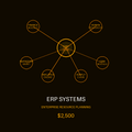ERP Systems