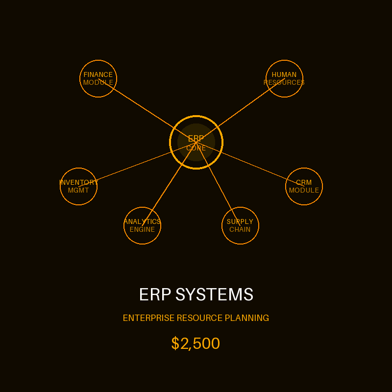ERP Systems